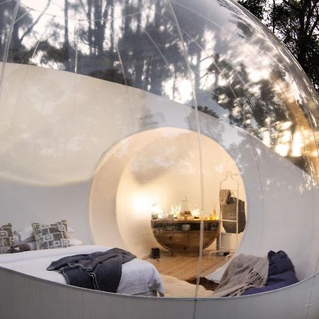 Skyview Bubbletent Eganstown Exterior foto